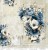 CC-C86-MME-06_1.jpg