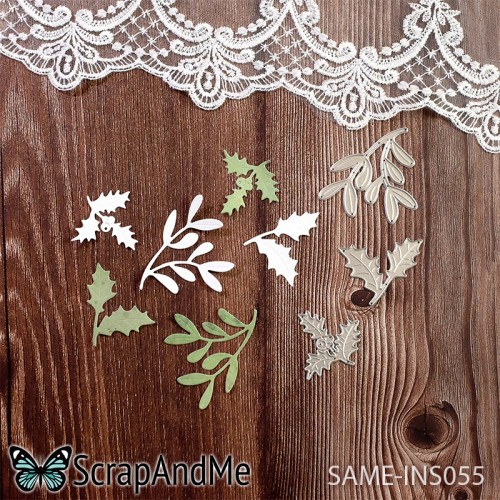 same-ins055.jpg