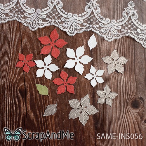 same-ins056.jpg