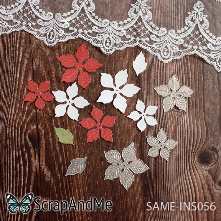 same-ins056.jpg