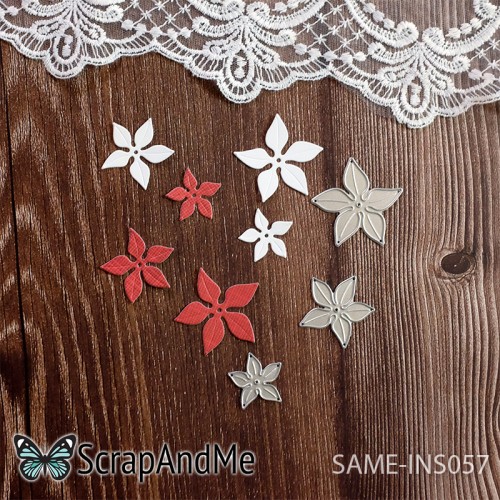 same-ins057.jpg