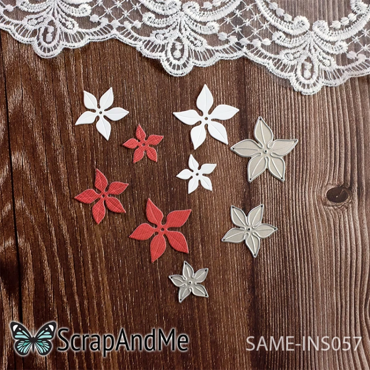 same-ins057.jpg