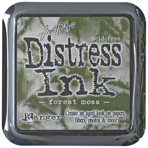 FOREST MOSS TIM27133.jpg