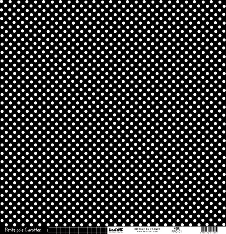 PPC-01-RECTO.png
