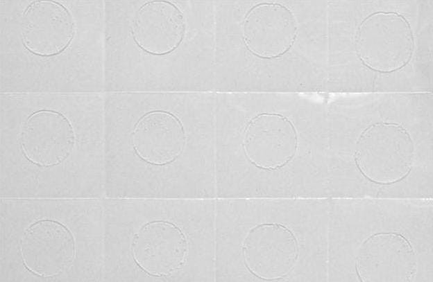 1b192b4cabf7077e5c5fe2b0c8968aaf95ab342a